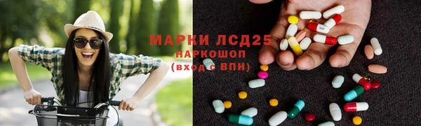 сатива Инсар