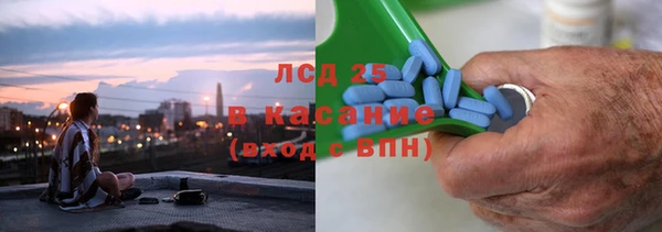 сатива Инсар