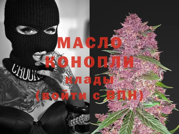 сатива Инсар