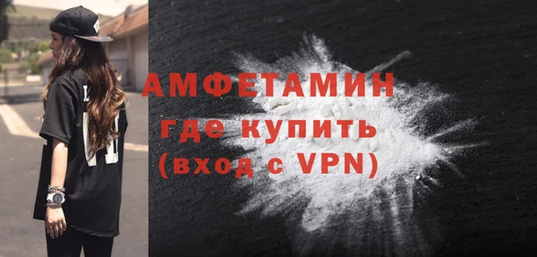 сатива Инсар