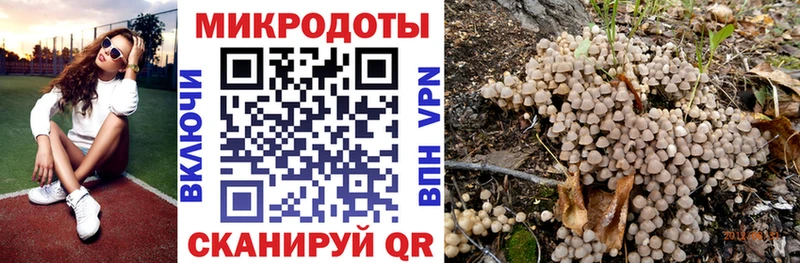 Купить закладки  Ясный  Псилоцибиновые грибы Cubensis 